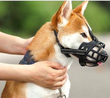 Dog Muzzle - yellow